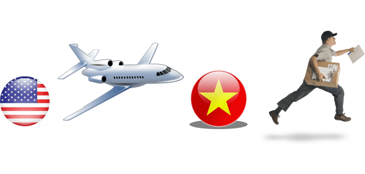 t33 T33